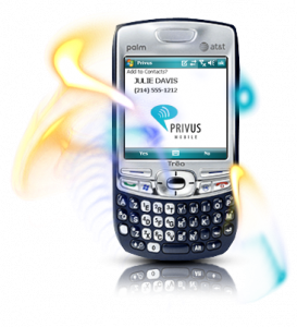 Privus on Palm