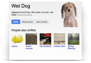 Google Nose