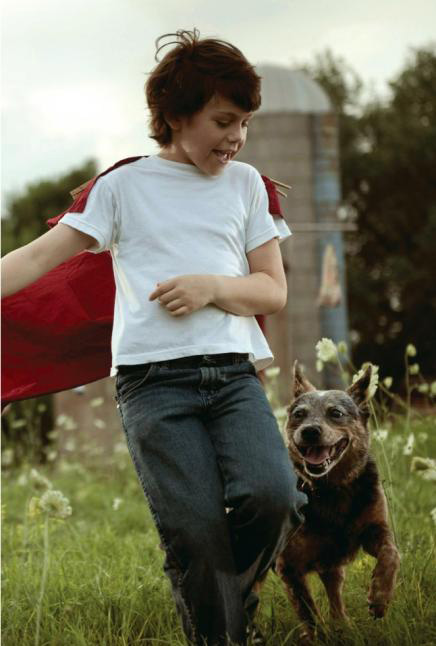 supermanjuniornovel5