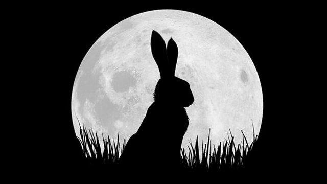 Watership Down